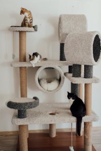 Three cats on a multi-level cat tree indoors, exhibiting playful behavior.